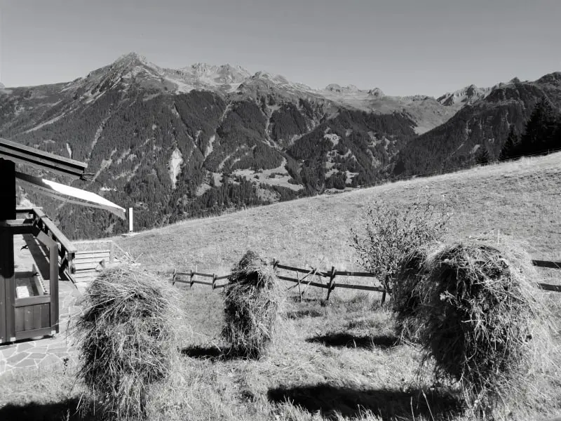 Heuernte mit "Henza", Maisäß Garfrescha (c) Casa Christine